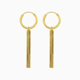 Overview image: Oorbel snake ketting goud