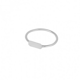 Overview image: Ring plaatje zilver 17